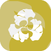寧水資本管理有限公司 Still Water Capital Management Limited