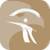 HALCYON CAPITAL LIMITED(Hong Kong)