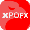 INFO XPO SOLUTIONS LTD(Cyprus)