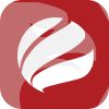 RNS HOLDINGS GROUP LLC(Florida (United States))
