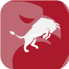 Bullseye Markets Ltd
