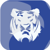 MILLENNIUM INTERNATIONAL ELECTRONIC ALGORITHM TRADING GROUP CO LTD(United Kingdom)