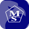 MEMON SECURITIES (PRIVATE) LIMITED(Pakistan)