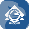 GOODWILL WEALTH MANAGEMENT PRIVATE LIMITED(India)