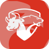 PLATINUM GLOBAL FX LIMITED