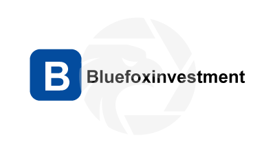 Bluefoxinvestment