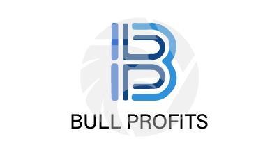Bull Profits