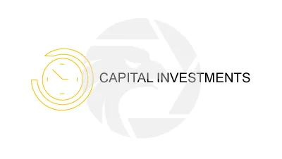 CAPITAL INVESTMENTS