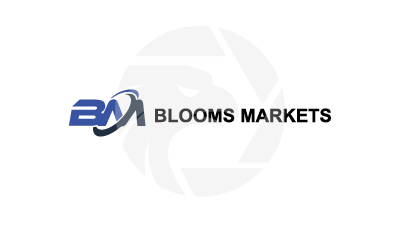 BLOOMS MARKETS LIMITED