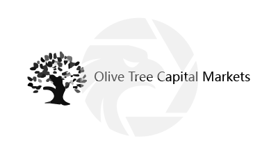 OLIVE TREE CAPITAL MARKETS