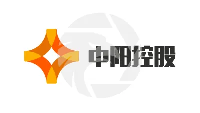 中阳金融集团 