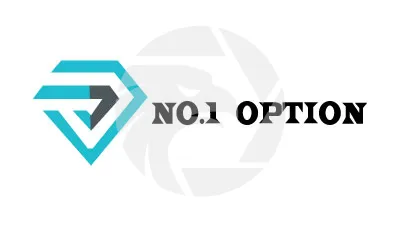 NO.1 OPTION