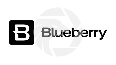 Blueberry