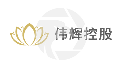 偉輝國際控股有限公司