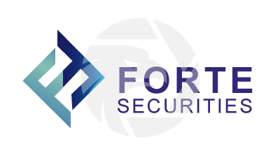 FORTE SECURITIES