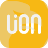 LION BROKERS LIMITED(New York (United States))